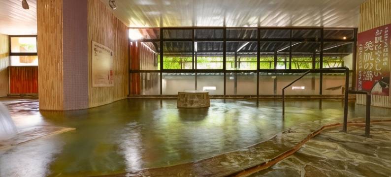 大江户温泉物语新光酒店(Ooedo Onsen Monogatari Hotel Shinko)图片