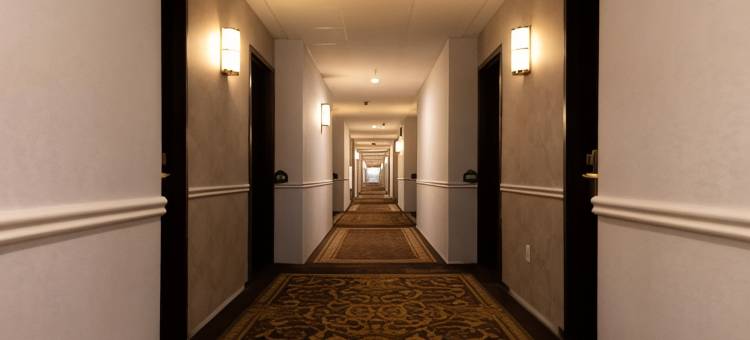 Wingate by Wyndham DFW / North Irving图片