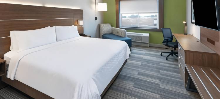 丹顿桑格智选假日套房酒店(Holiday Inn Express & Suites Denton - Sanger)图片