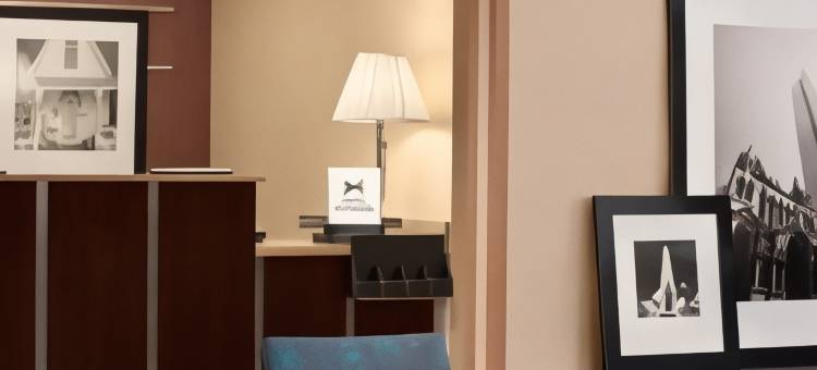 波士顿布伦特里希尔顿欢朋酒店(Hampton Inn Boston/Braintree)图片