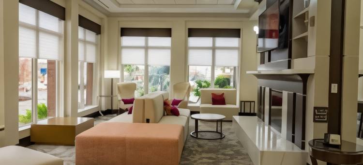 希尔顿花园酒店-亚特兰大南-麦克多诺(Hilton Garden Inn Atlanta South-McDonough)图片