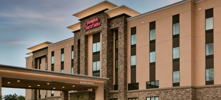 哈德森威斯康辛欢朋套房酒店(Hampton Inn and Suites Hudson)图片