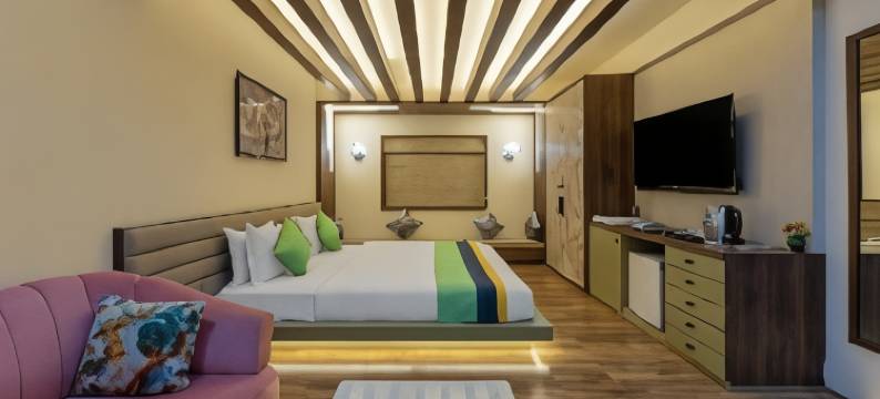 Treebo 奥斯卡(Treebo Oscar)图片