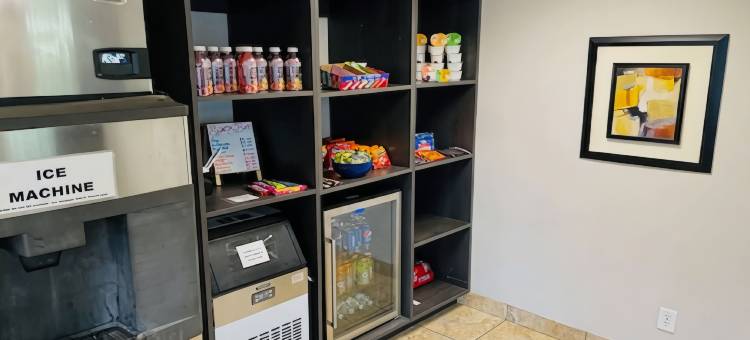 休伦港戴斯套房酒店(Days Inn & Suites by Wyndham Port Huron)图片