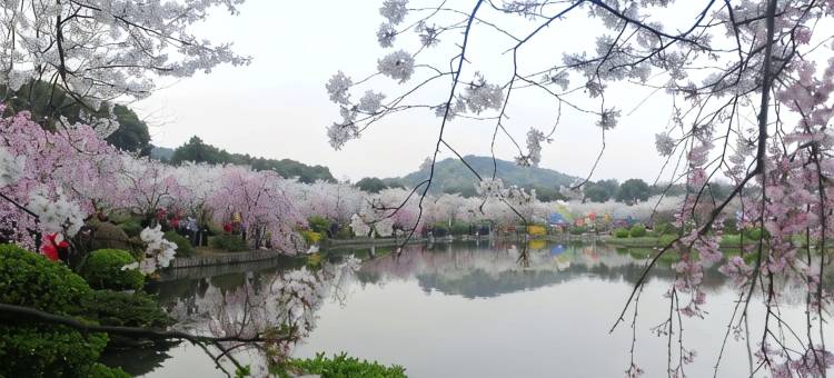 武汉雅诗琪轻奢酒店(武汉大学店)图片