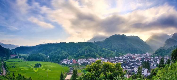 武义阳春山居民宿图片