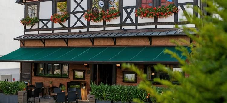 祖姆布拉尼赫斯辰旅馆(Hotel Zum Braunen Hirschen)图片