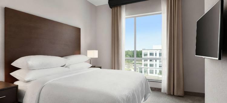 洛特爱斯丽希尔顿安泊酒店(Embassy Suites by Hilton Charlotte Ayrsley)图片