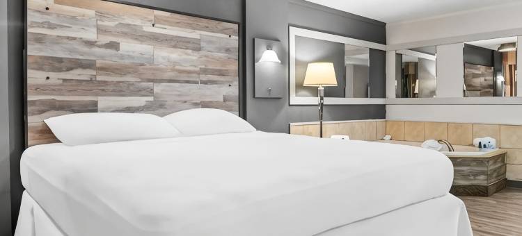 罗德威套房酒店(Rodeway Inn & Suites)图片
