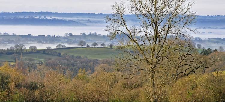 拉德洛附近可供两人的美丽静谧乡村民宿，享有壮丽景观(Beautiful and Quiet Rural hideaway for two near Ludlow with stunning views)图片