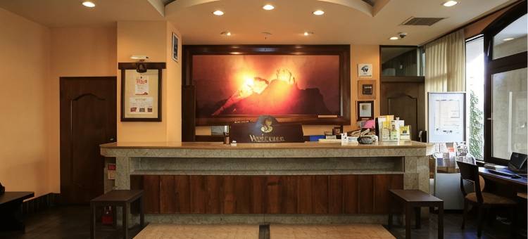 新车站酒店(Hotel New Station)图片