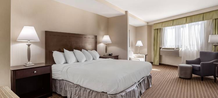 费城机场南-威得恩大学贝斯特韦斯特优质酒店(Best Western Plus Philadelphia Airport South at Widener University)图片