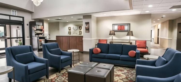 休斯顿西北舒适套房酒店-复古公园(Comfort Suites Houston NW - Vintage Park)图片
