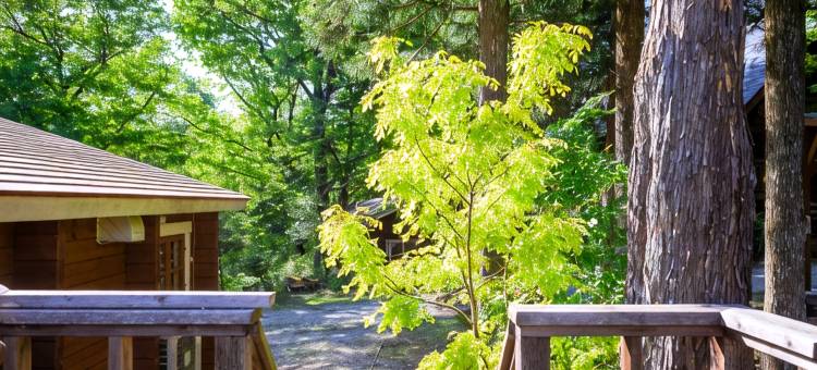 茶臼之森小木屋(Log Cottages Chausunomori)图片