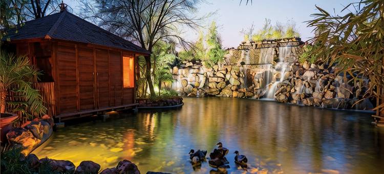 树屋度假村(The Tree House Resort, Jaipur- A Club Mahindra Associate)图片