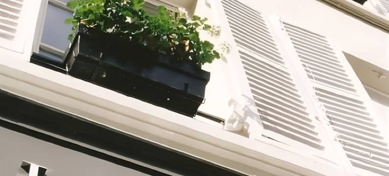 普拉西德酒店(Hotel le Placide Saint-Germain des Prés)图片