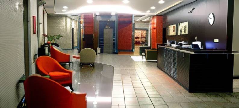 唐亨里克酒店(Hotel Dom Henrique)图片