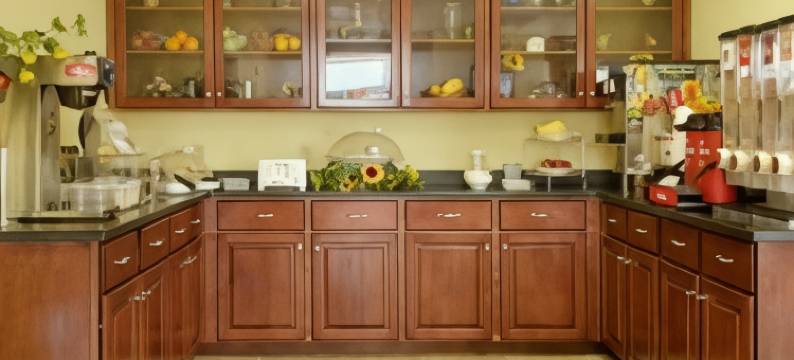 斯溫斯伯罗戴斯套房酒店(Days Inn & Suites by Wyndham Swainsboro)图片