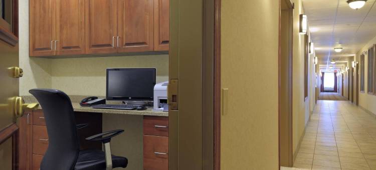 希尔顿斯帕克华盛顿梅多兰兹大道(Spark by Hilton Washington Meadowlands Blvd)图片