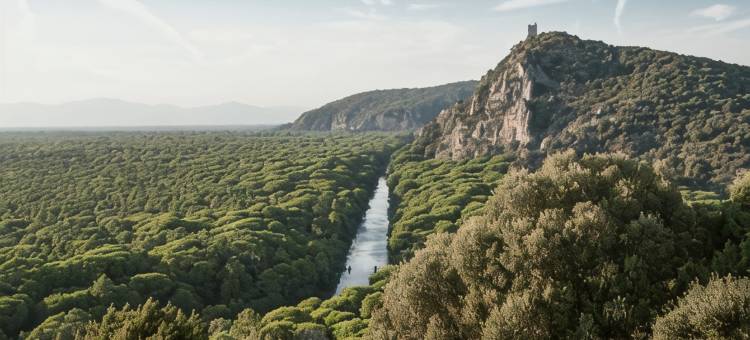 马士朗尼度假酒店 - 阿尔贝雷塞，格罗塞托(Maestrale Resort Hotel - Grosseto)图片