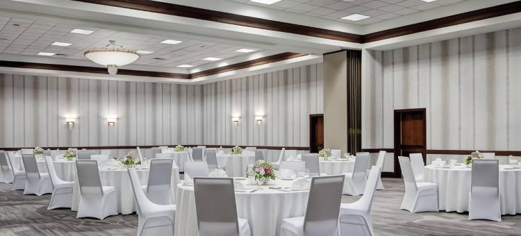 南休斯顿霍比机场万豪酒店(Houston Marriott South at Hobby Airport)图片