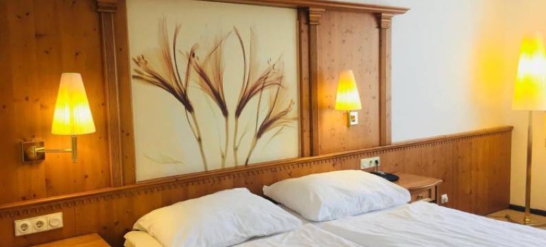 布兰尼克酒店(Hotel Braník)图片