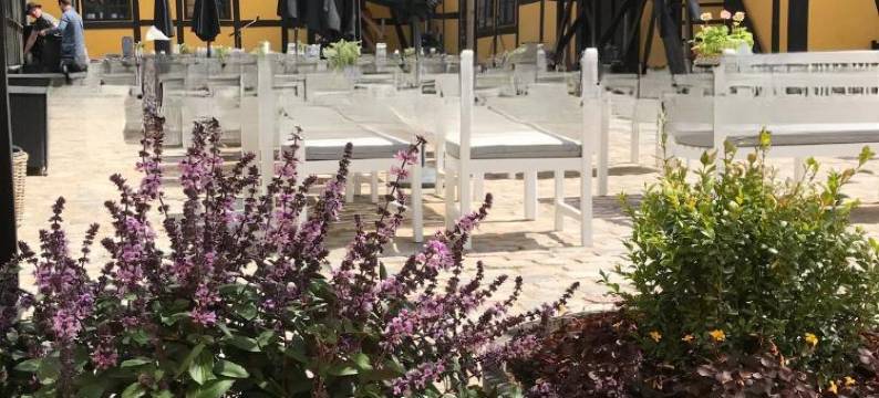 萨克约滨酒店(Hotel Saxkjøbing)图片