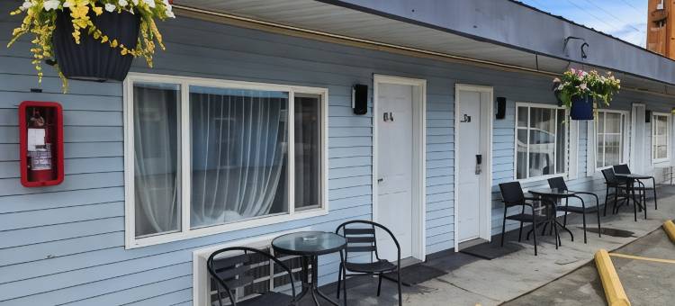 赢家汽车旅馆(Ace Motel)图片