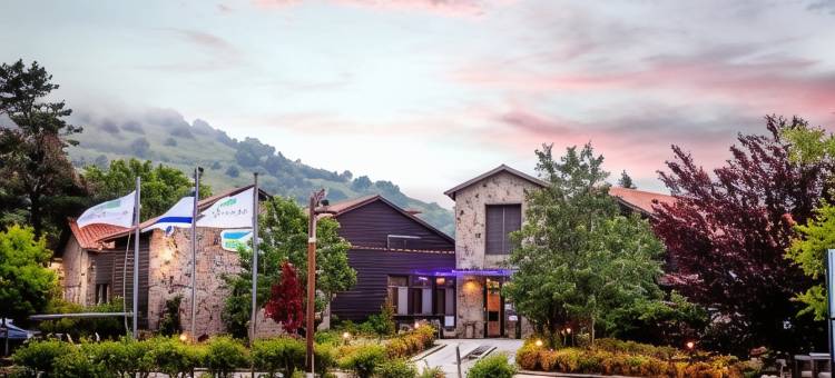 梅伦戈兰度假村(Merom Golan Resort)图片