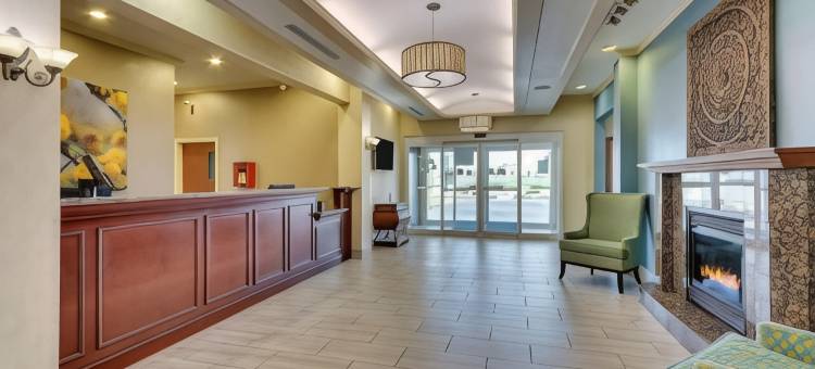 舒适酒店及套房(Comfort Inn & Suites)图片