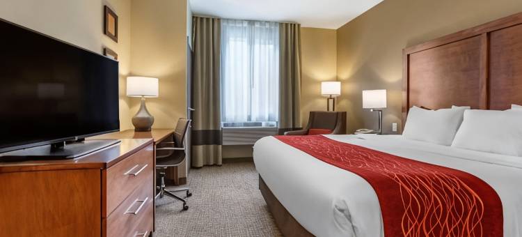 舒适套房酒店-近拉什莫尔山(Comfort Inn & Suites Near Mt Rushmore)图片