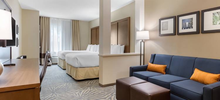 南奥斯汀舒适套房酒店(Comfort Suites - South Austin)图片