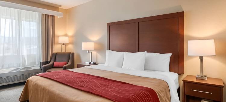 舒适酒店-梅德福北部(Comfort Inn Medford North)图片