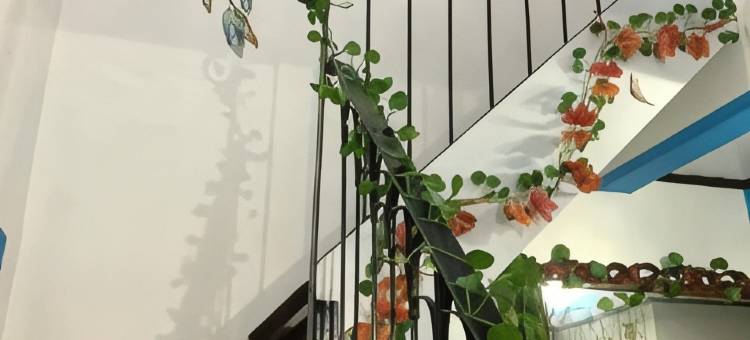 大雅台经济型客房酒店(Jemz Tagaytay Budget Transient)图片