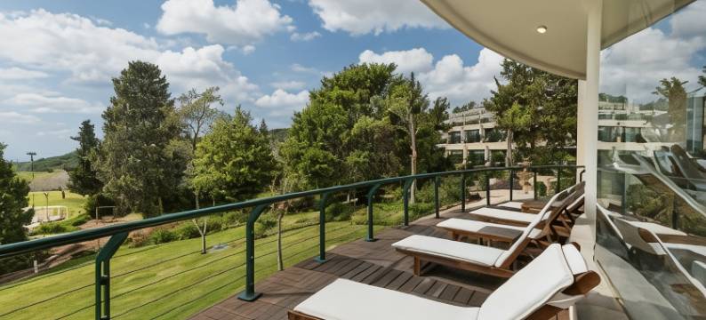 卡梅尔森林 - 伊斯罗泰尊爵酒店(Carmel Forest by Isrotel Exclusive)图片