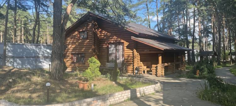 Hotel Sosnovy Bor Hotel图片