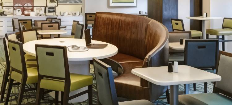 奥兰多会议中心／国际大道区万豪SpringHill酒店(SpringHill Suites Orlando Convention Center/International Drive Area)图片