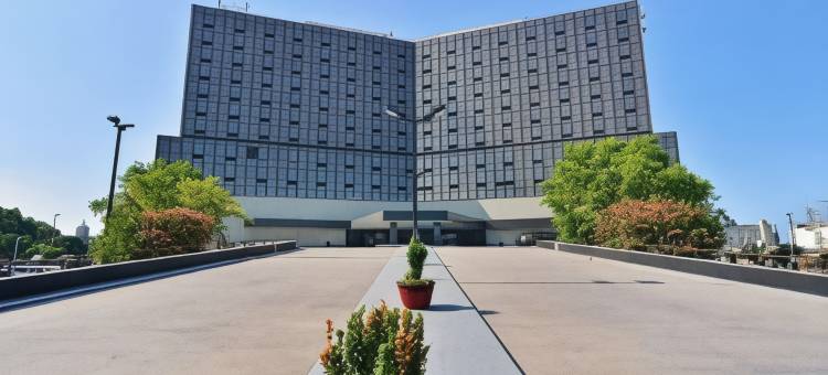 诺福克市中心温德姆花园酒店(Wyndham Garden Norfolk Downtown)图片