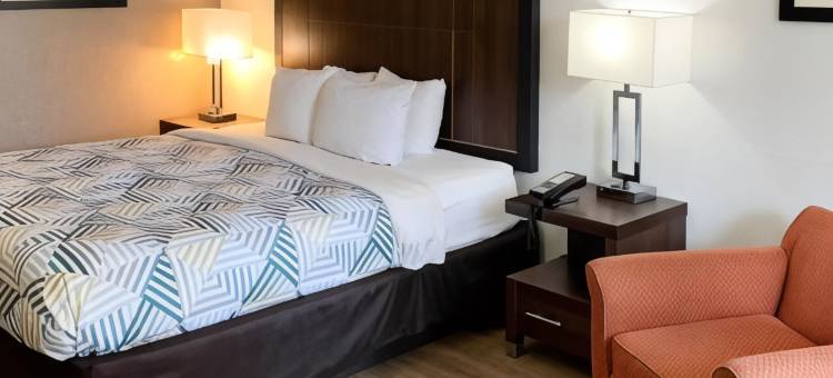 阿拉巴马欧佩里卡 6 号汽车旅馆酒店(Motel 6 Opelika, Al)图片