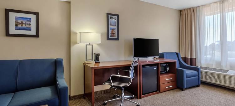 北圣彼得堡舒适酒店(Comfort Inn St Petersburg North)图片