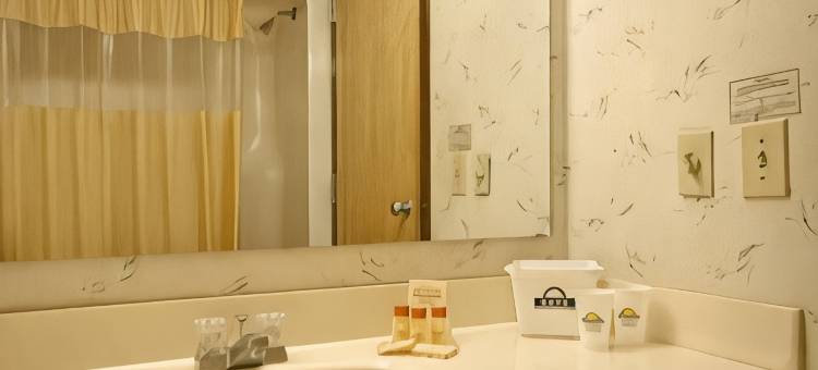 舒适套房酒店-拉芬列克星敦I-81和I-64附近(Comfort Inn & Suites Raphine - Lexington Near I-81 and I-64)图片
