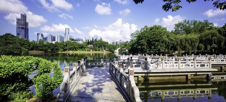 深圳蔡屋围大酒店图片