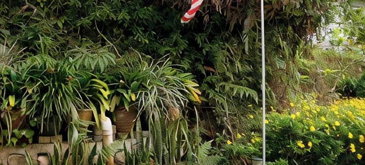 金马仑高原丹那拉塔Swing & Pillows金色旅舍(Swing & Pillows @ Golden Lodge Tanah Rata, Cameron Highland)图片
