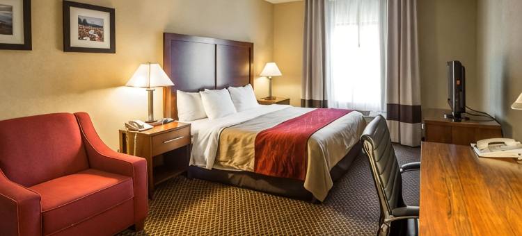 摩根顿舒适套房酒店(Comfort Inn & Suites)图片