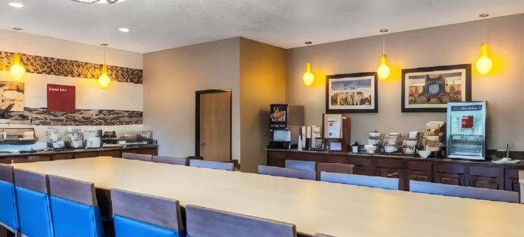 万塞讷舒适套房酒店(Comfort Suites)图片