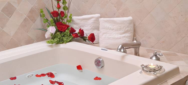 普埃布拉阿甘黑使命酒店(Arcángel Puebla)图片