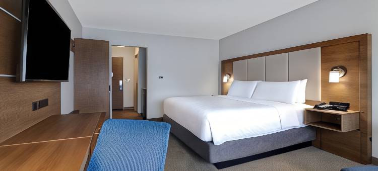 安阿伯南大学智选假日套房酒店(Holiday Inn Express & Suites Ann Arbor - University South)图片