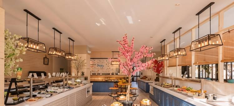 科拉里恩海滩 - 洛佩桑酒店 - 限成人(Corallium Beach by Lopesan Hotels - Adults Only)图片