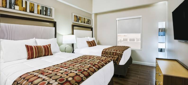 迈克艾伦浩枫温德姆公寓酒店(Hawthorn Extended Stay by Wyndham McAllen)图片