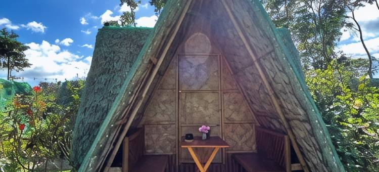 埃尔乔伊森林度假村(Eljoy's Forest Resort)图片